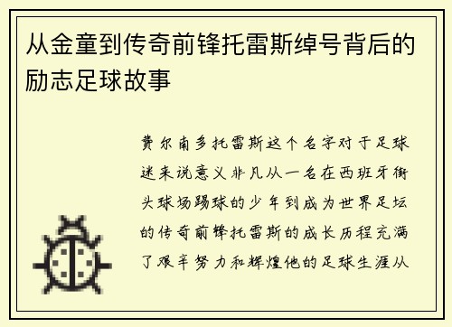 从金童到传奇前锋托雷斯绰号背后的励志足球故事 从金童到传奇前锋托雷斯绰号背后的励志足球故事