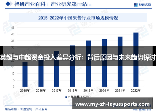 英超与中超资金投入差异分析：背后原因与未来趋势探讨