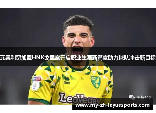 菲奥利奇加盟HNK戈里察开启职业生涯新篇章助力球队冲击新目标