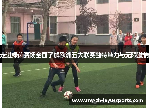 走进绿茵赛场全面了解欧洲五大联赛独特魅力与无限激情