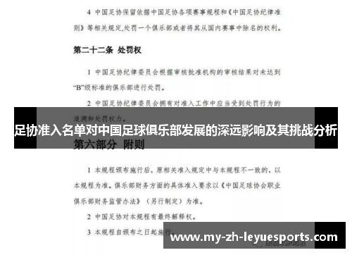 足协准入名单对中国足球俱乐部发展的深远影响及其挑战分析