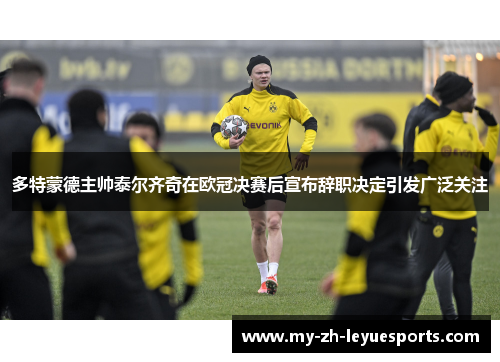多特蒙德主帅泰尔齐奇在欧冠决赛后宣布辞职决定引发广泛关注