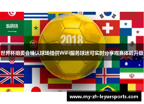 世界杯组委会确认球场提供WiFi服务球迷可实时分享观赛体验升级